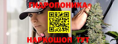 прущие крисы Малгобек